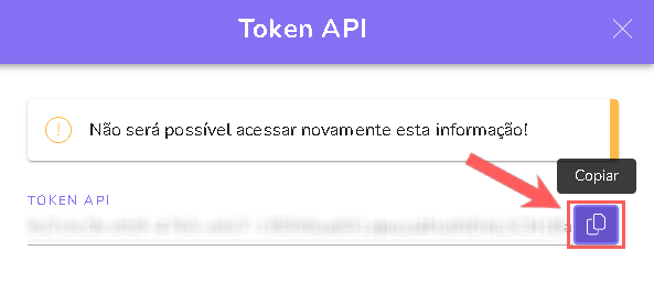 copiar-token-api-guru.png