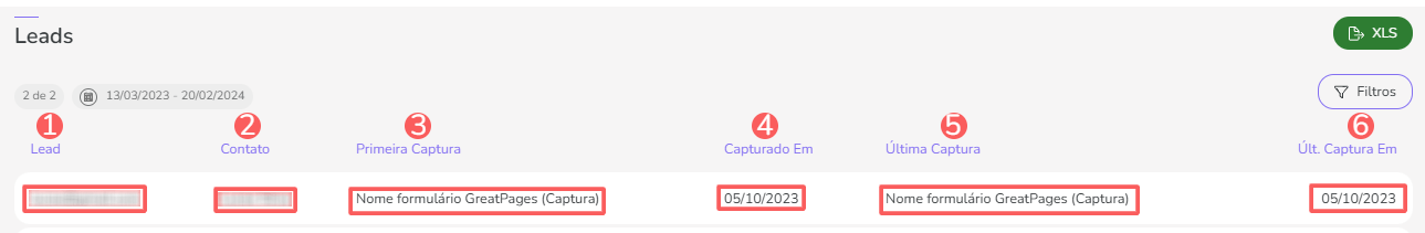 leads-consultar lista.png