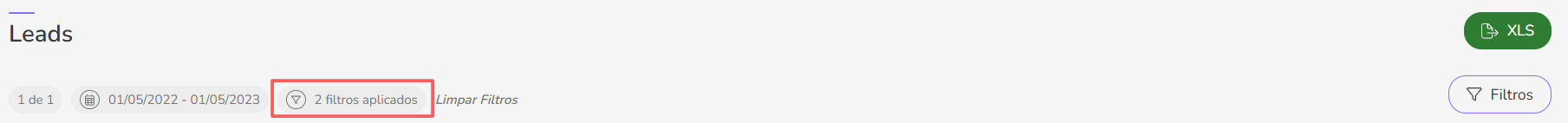 leads-filtros aplicados.png
