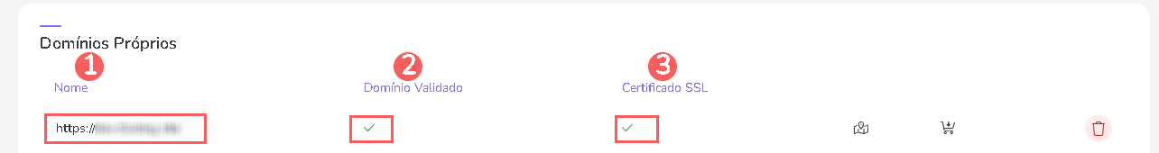 consultar-informacoes-dominio-proprio-configuracao-gerais.png
