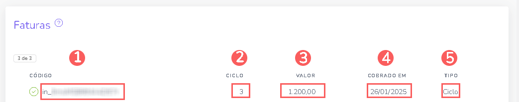 consultar-informacoes-faturas.png