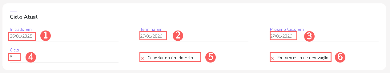 informacoes-ciclo-atual-assinatura.png