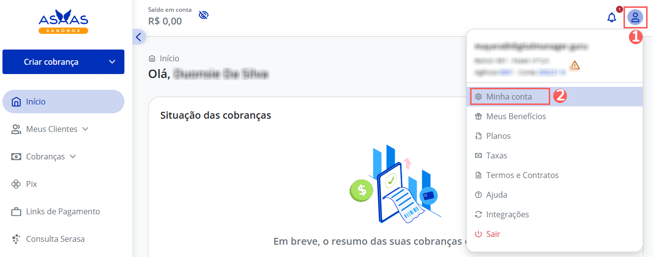 meu-perfil-minha-conta-asaas.png