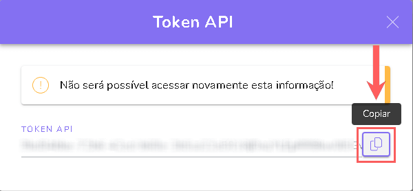 copiar-token-api-iuli.png