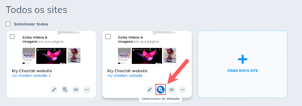selecionar-site-criado-gerenciadord-do-website-builderall.png