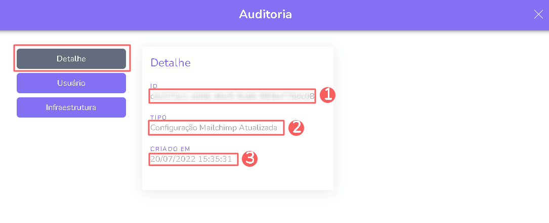 integracao-auditoria- detalhe- mailchimp.png