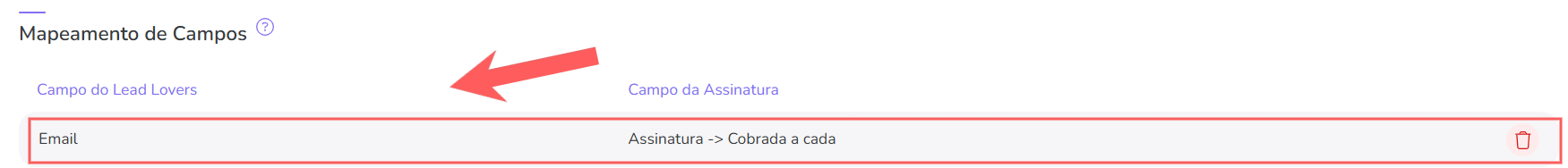 leadlovers-mapeamento de campos-visualizar.png
