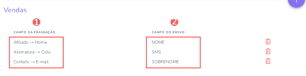 consultar-mapeamento-de-campos-brevo.png