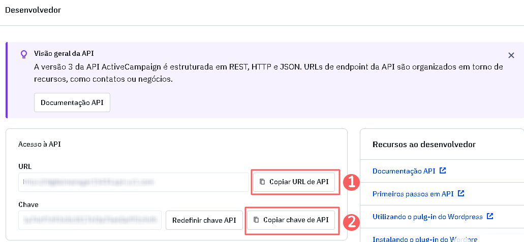desenvolvedor- copie-armazene-URL- Chave-API- active campaign.png