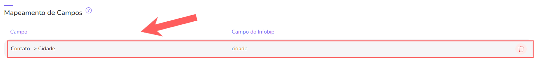 infobip-mapeamento de campos-visualizar.png