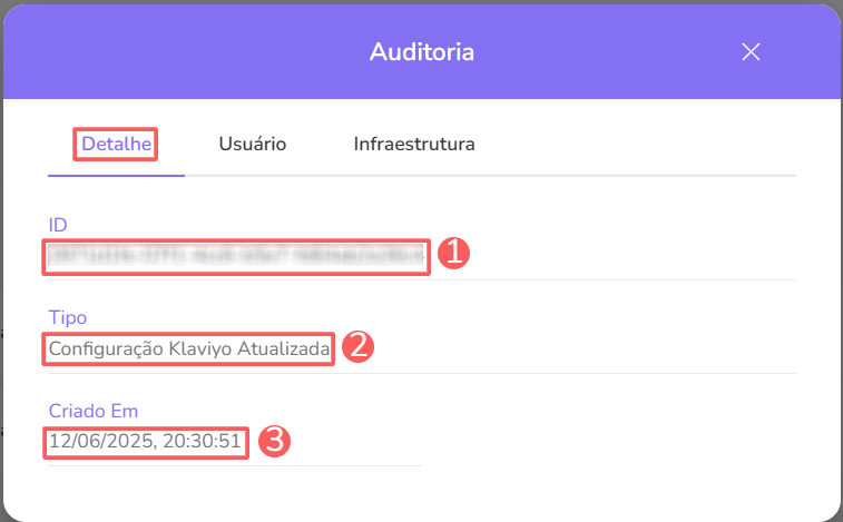 klaviyo-auditoria-detalhe.png
