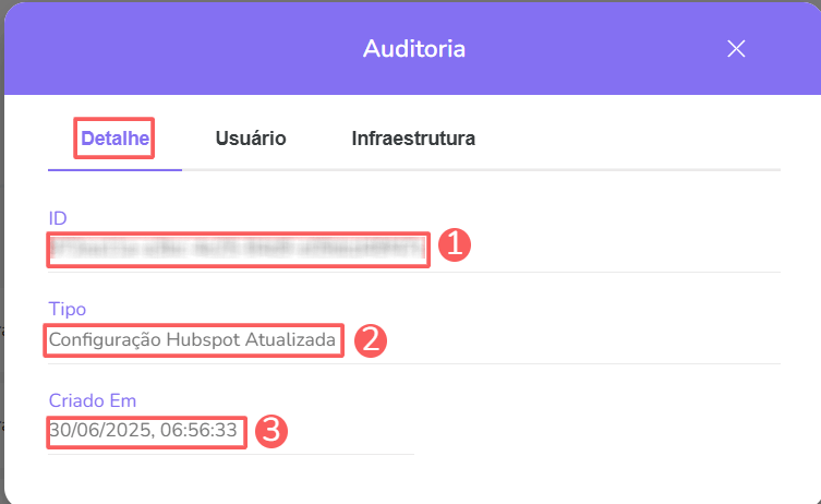 hubspot-auditoria-detalhe.png