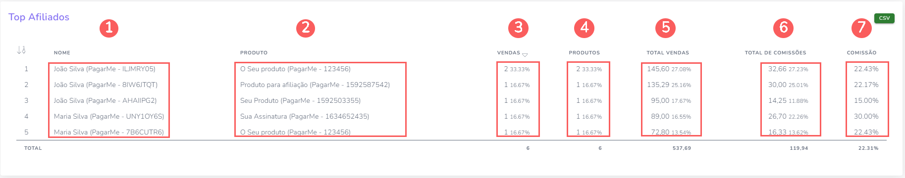 dashboard-top-afiliados - dash-de-vendas.png