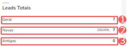dashboards-resumo-leads totais.png