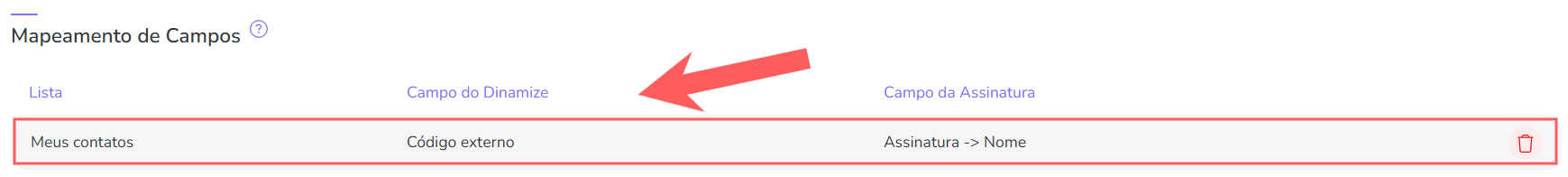 dinamize-mapeamento de campos-visualizar.png