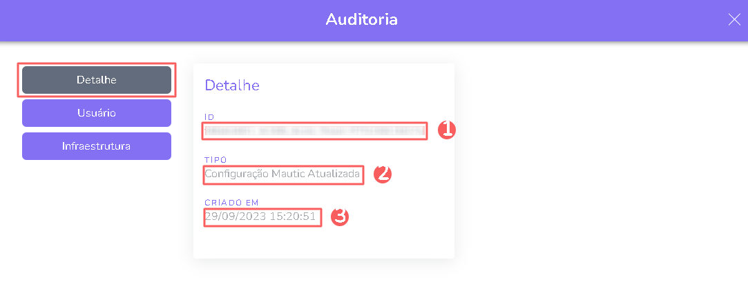 auditoria-detalhe-mautic.png