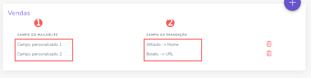 consultar-mapeamento-campos-mailerlite.png