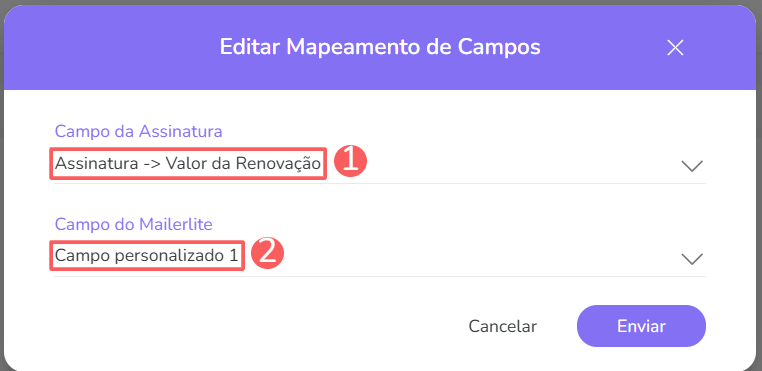 mailer lite-editar mapeamento de campos.png