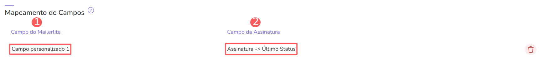 mailer lite-mapeamento de campos-consulta lista.png
