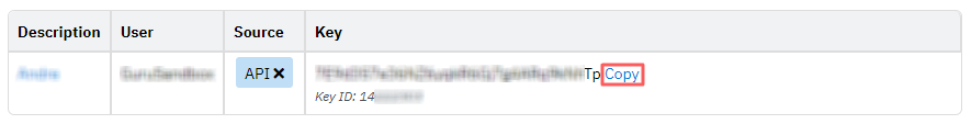 revere-payments-api-key.png