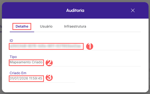 auditoria-detalhe-mapeamentos-bigin.png