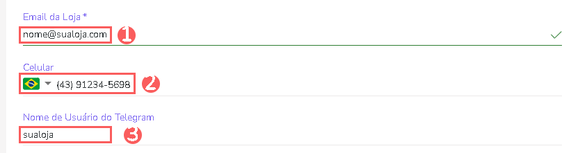 conteudo-email-numero-whats-telegram-configuracao-checkout.png
