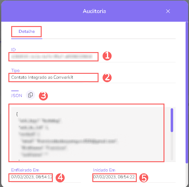 auditoria-detalhe-leads.png