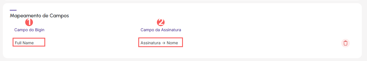 consultar-mapeamento-de-campos-bigin.png